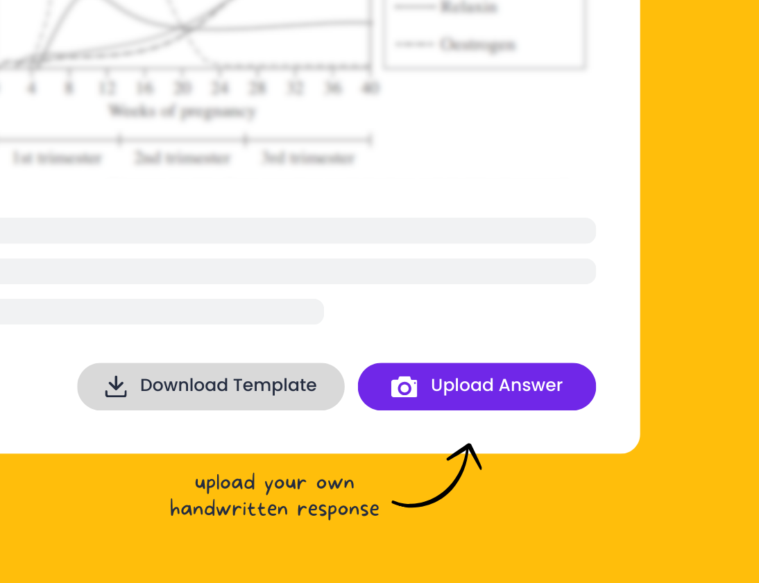 Excel HSC Copilot Upload Answers